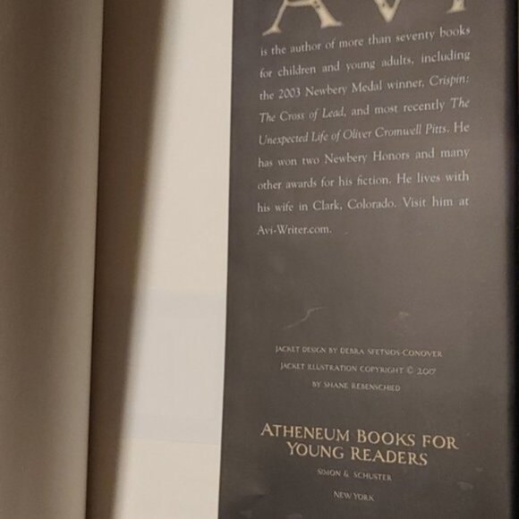 3/$13 The Player King by Avi children hardcover chapter book 2017 - Picture 7 of 8